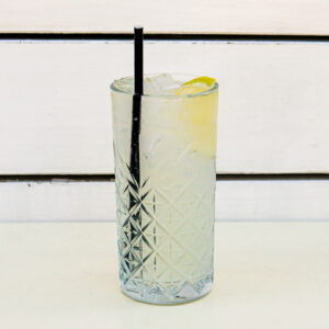 Vodka Tonic / Lemon